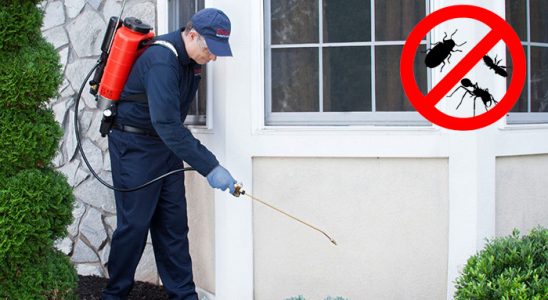 Karaisalı Hamam Böceği İlaçlama böcek ilaçlama ve haşere kontrolü — ilaclama-tr.com